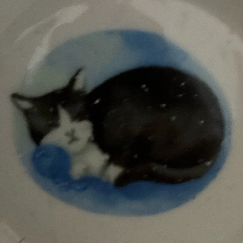Cat Ceramic Mug - Black, White, Tan Cat lovers